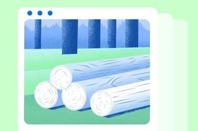 Как получить лес от государства бесплатно или с большой скидкой