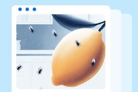 Как избавиться от мошек на кухне
