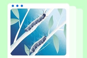 Чем опасен непарный шелкопряд и как с ним бороться