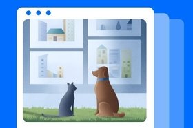 Как снять квартиру с животными на длительный срок