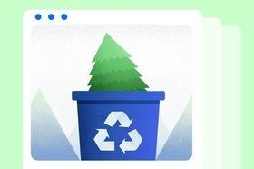 Когда убирают ёлку и 5 способов сделать это экологично