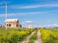 За сорняки на даче могут оштрафовать на 50 тысяч рублей