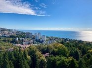 По спросу на аренду Сочи заметно опережает другие туристические направления