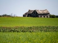 Новые критерии для изъятия бесхозных земель введут с 1 сентября