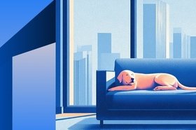 Как содержать собаку в многоквартирном доме: обязанности хозяина и права соседей
