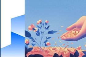 Что такое мульчирование почвы и как его правильно делать