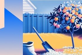 Что такое суперфосфат и для чего он нужен