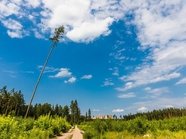 Госдума отклонила поправки, запрещающие застройку «Лосиного острова» Госдума отклонила поправки, запрещающие застройку «Лосиного острова»