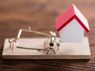 К борьбе с жилищным мошенничеством может подключиться Центробанк