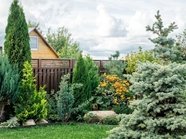 В Госдуме рассказали об актуальных требованиях к заборам на участках