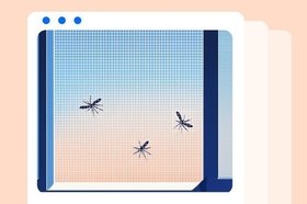 Как выбрать и установить москитную сетку