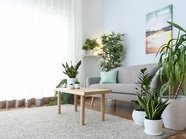 Средний метраж квартир в столице вырос после отказа от микроквартир