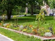 Штрафы за озеленение дворов предложили отменить