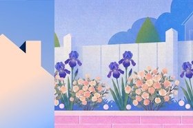 Что посадить на участке вдоль забора: 20 вариантов растений