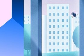 Клещи в городе: где они обитают и как не стать их жертвой