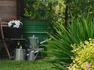 Можно ли заниматься садоводством на дачном участке, объяснила эксперт