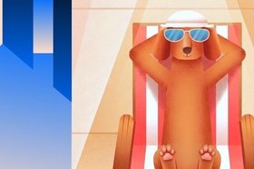 Передержка собак и кошек: куда пристроить питомца на время отпуска