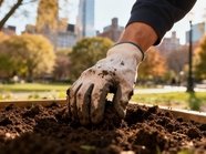 Можно ли разбить огород на клумбе у многоэтажки, рассказал юрист Можно ли разбить огород на клумбе у многоэтажки, рассказал юрист