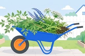 Что изменилось для дачников в 2026 году