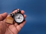 Сбер остановит выдачу субсидированной ипотеки от застройщиков на короткий срок Сбер остановит выдачу субсидированной ипотеки от застройщиков на короткий срок