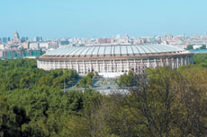 «Лужникам» — 55! Московский фестиваль спорта
