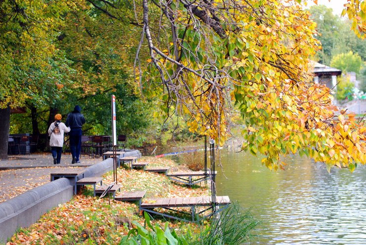 В Москве появится «Бутовский» Парк Горького