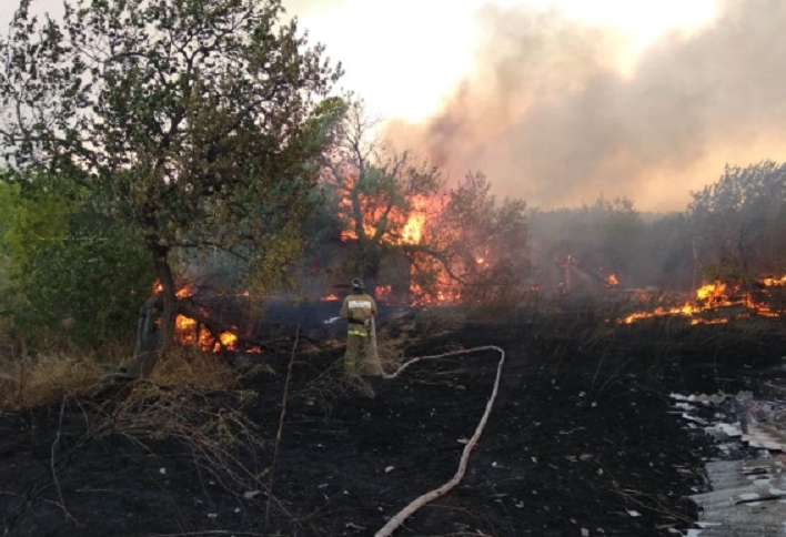 В трех районах Ростовской области из-за природных пожаров введен режим ЧС