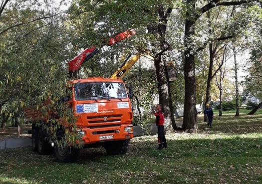 Жители улицы Ивана Франко пытаются защитить парк с вековыми дубами
