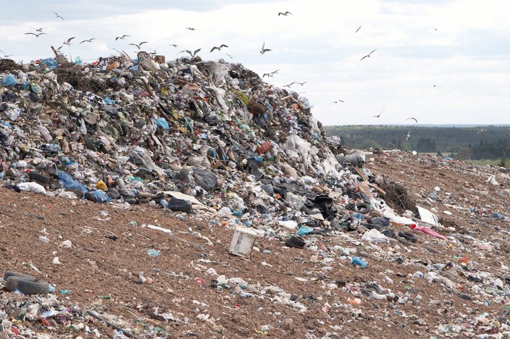 В России построят пять мусоросжигающих заводов