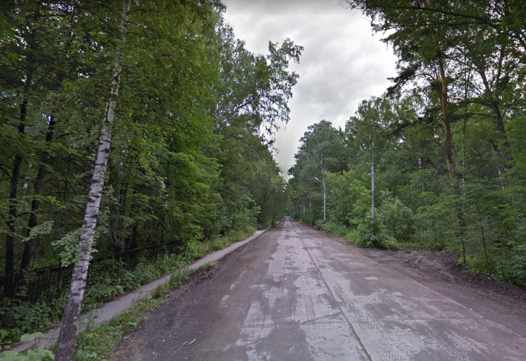 В Калининском районе Новосибирска благоустроят Сосновый бор