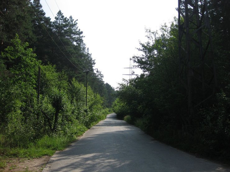 В Новосибирске разрешили застраивать Заельцовский бор