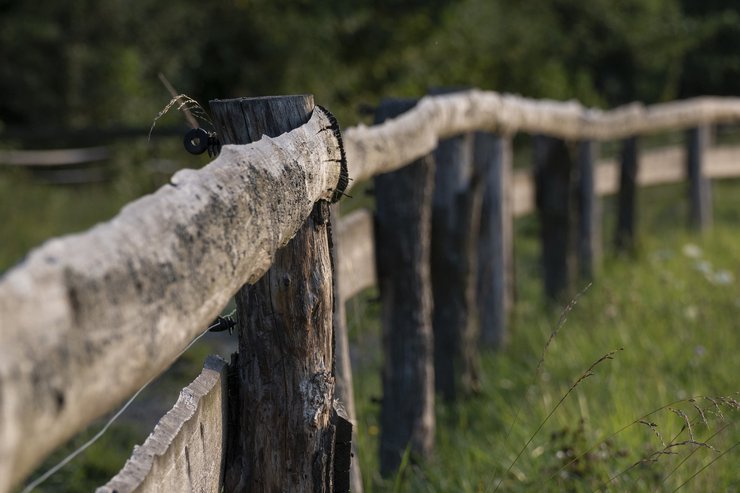 Срок оформления дальневосточных и арктических гектаров могут продлить до марта