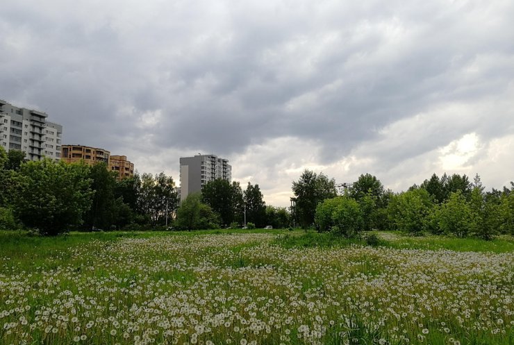 Незаконной сделкой по продаже земли у сквера на Демакова заинтересовался СКР