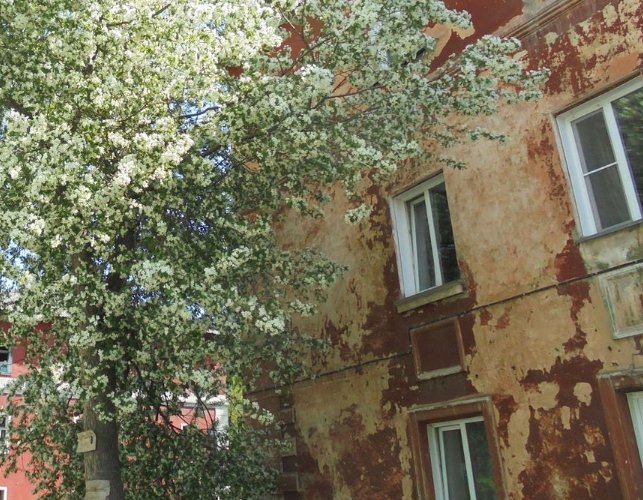 В Новосибирске отказались признавать аварийной 79-летнюю трехэтажку