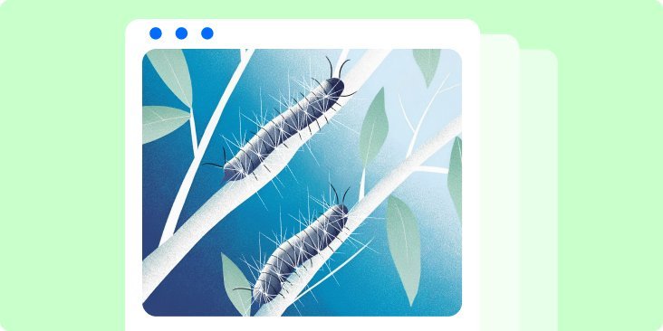 Чем опасен непарный шелкопряд и как с ним бороться