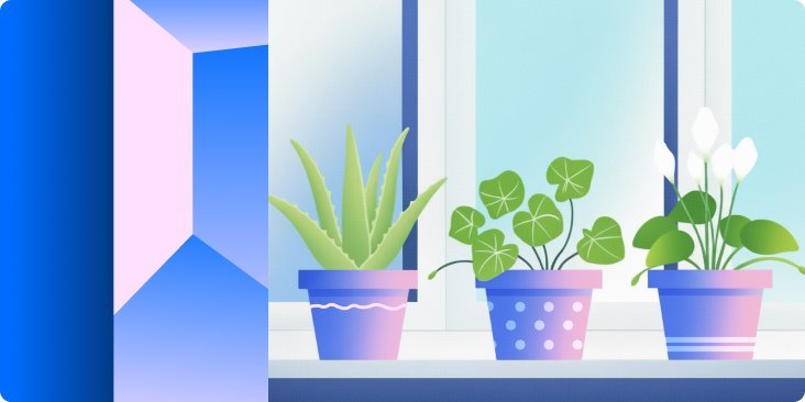 Самые полезные комнатные растения для дома и здоровья человека