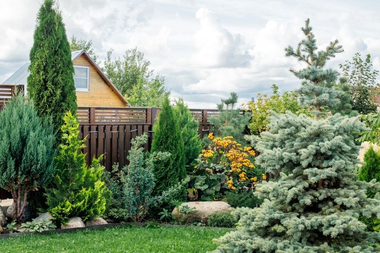 В Госдуме рассказали об актуальных требованиях к заборам на участках