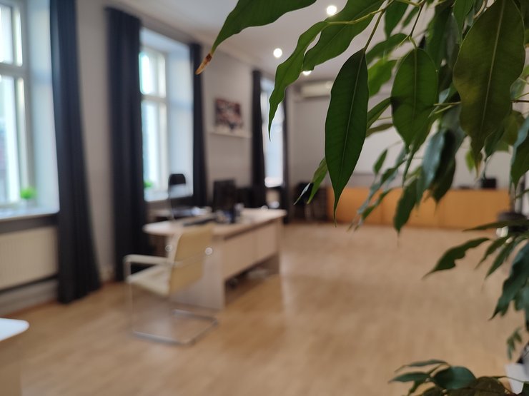 Покупка квартиры в зелёном районе: стоит ли переплачивать Покупка квартиры в зелёном районе: стоит ли переплачивать