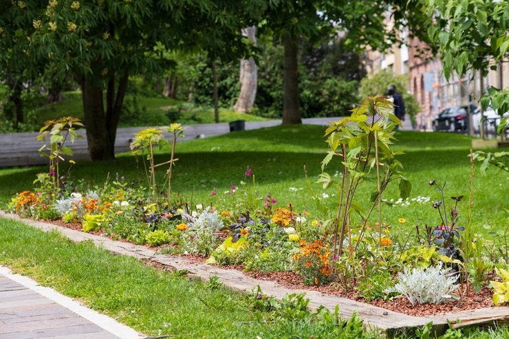 Штрафы за озеленение дворов предложили отменить