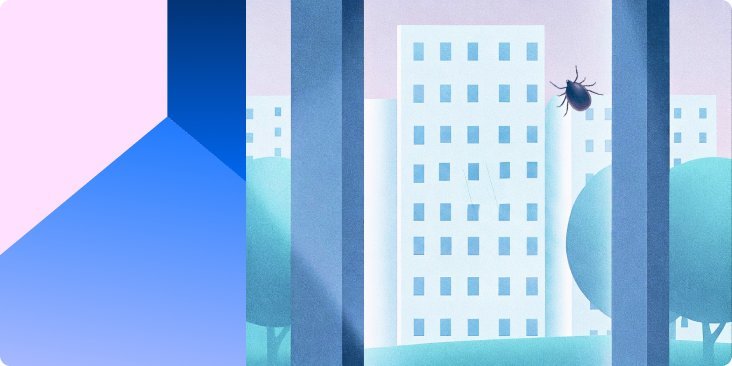 Клещи в городе: где они обитают и как не стать их жертвой