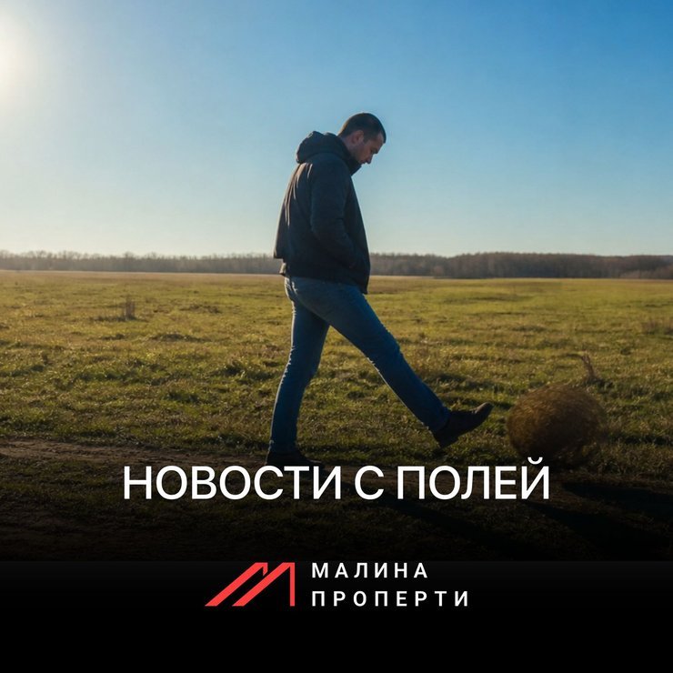 Новость с полей