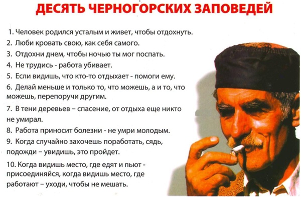 ЖИЗНЬ - ИГРА, А НЕ РАБОТА. АНЕКДОТЫ, ШУТКИ И АФОРИЗМЫ ОТ РИЭЛТОРОВ.
