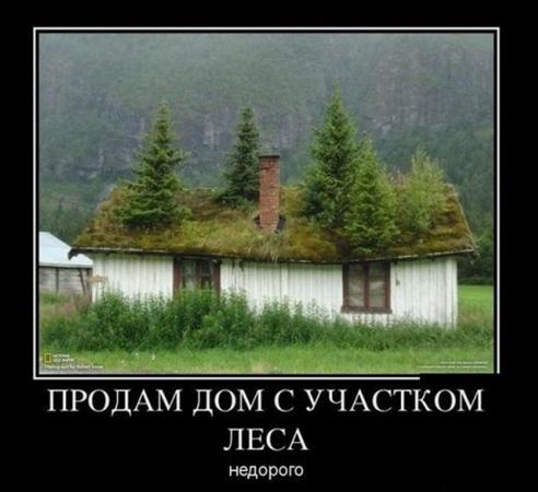 Дом с участком леса))
