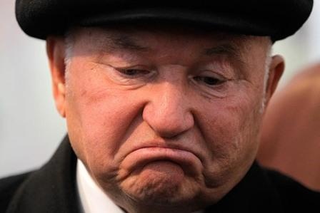 На пасеку Лужкова в Богучанах наложен арест!