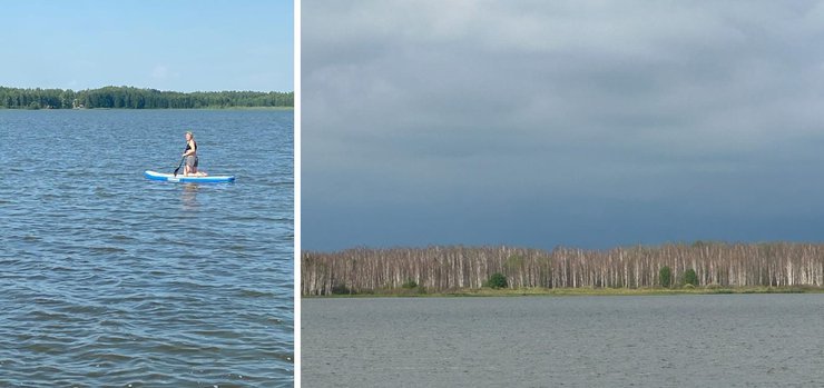 «чем питается непарный шелкопряд»
