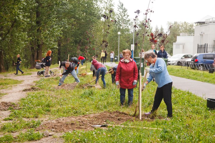 «подготовка инвентаря и организация субботника»