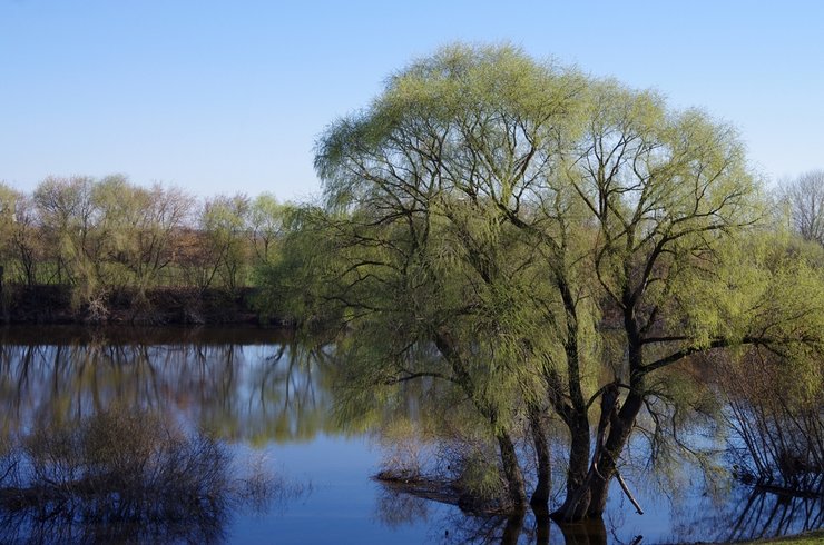 «затопило участок»