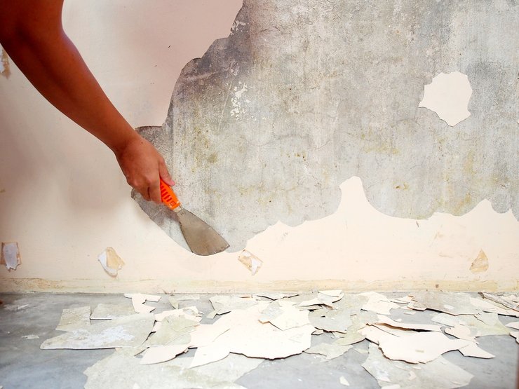 «инструменты, чтобы эффективно снимать краску со стен»