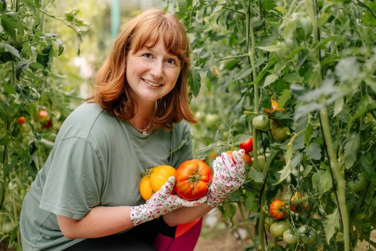 «как правильно установить теплицу на участке», «какие теплицы лучше устанавливать»