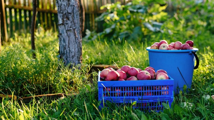«как выбрать частный дом»